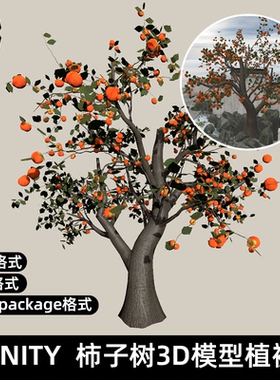 Unity柿子树3D模型道具3dmax fbx建筑素材源文件speedtree植被