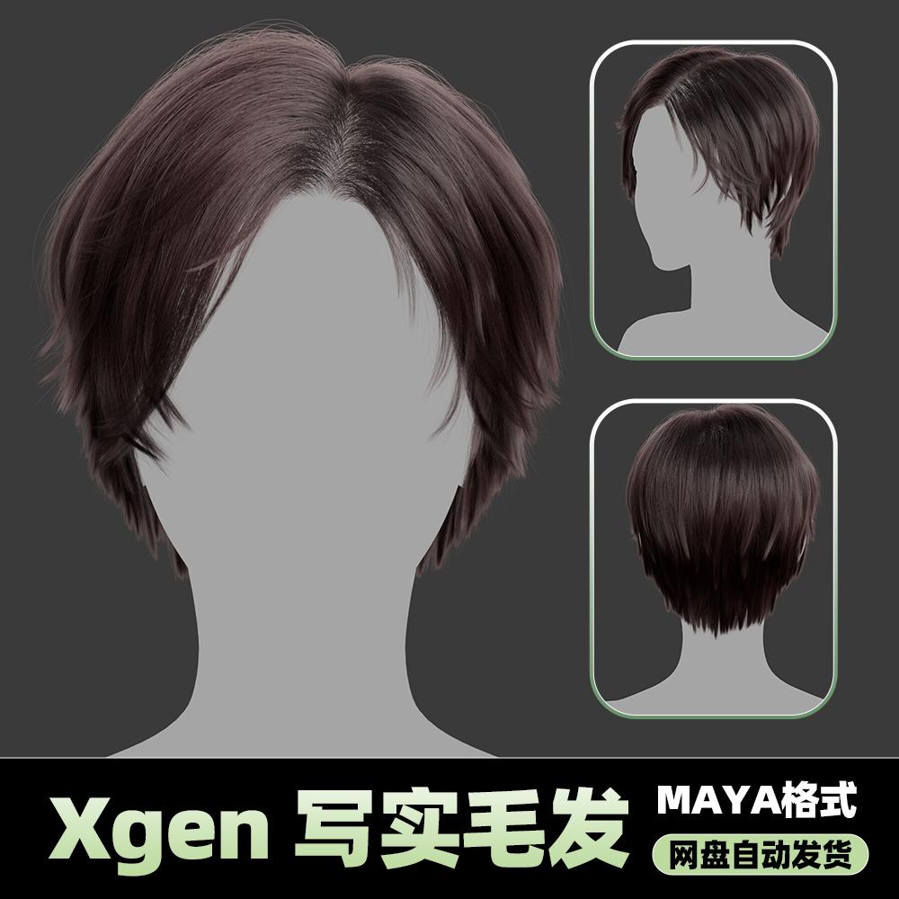 Xgen女性毛发国风现代美女人物角色发型泡面头maya3D模型丸子头