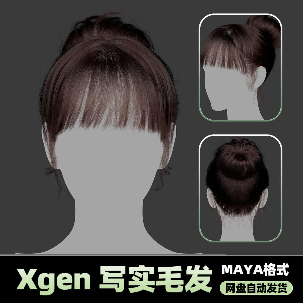 Xgen女性毛发国风现代美女人物角色发型泡面头maya3D模型丸子头