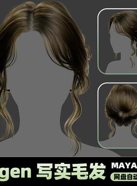 Xgen女性毛发国风现代美女人物角色发型泡面头maya3D模型丸子头