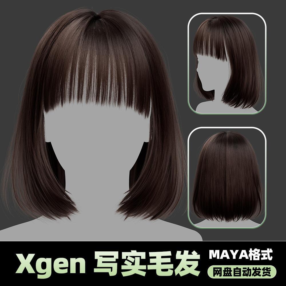 Xgen女性毛发国风现代美女人物角色发型泡面头maya3D模型丸子头