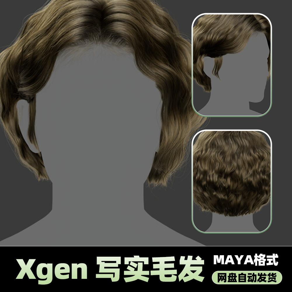 Xgen女性毛发国风现代美女人物角色发型泡面头maya3D模型丸子头