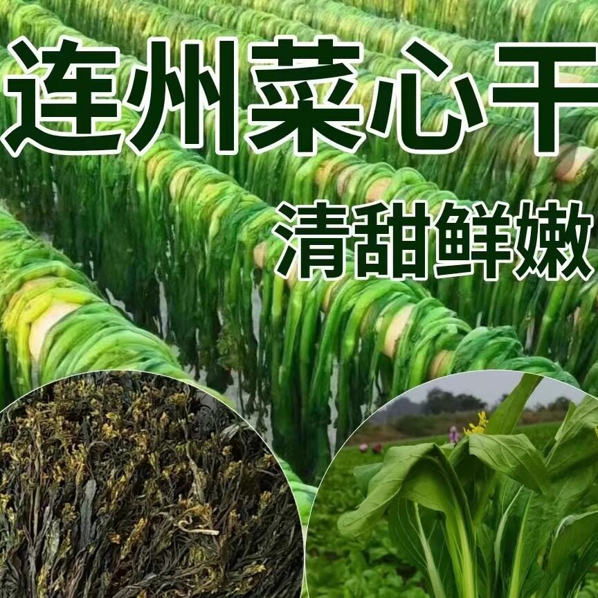 连州菜心脱水菜心干迟菜干