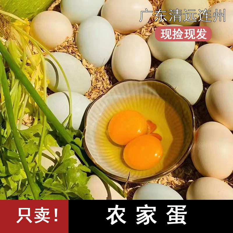 正宗草鸡蛋原生态放养柴鸡蛋味道鲜美饱满草鸡蛋