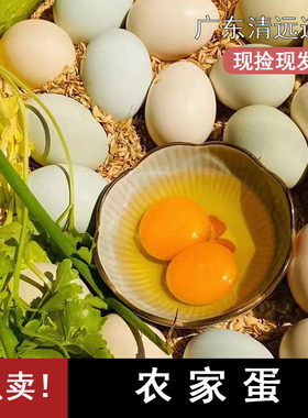 正宗草鸡蛋原生态放养柴鸡蛋味道鲜美饱满草鸡蛋