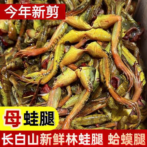 长白山林蛙母雪蛤腿母蛤蟆大腿