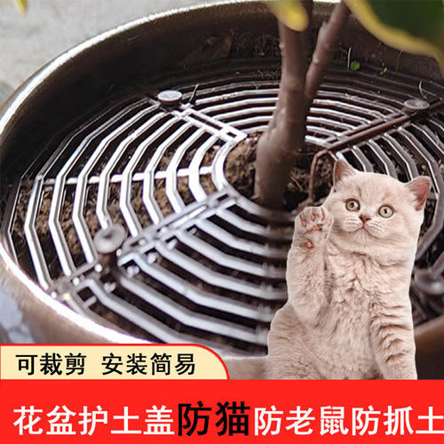 花盆防猫神器护土盖防猫抓保护罩