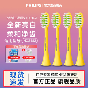 飞利浦电动牙刷替换刷头HX2031单支装柔和亮白型莎莉鸡适用HX2482