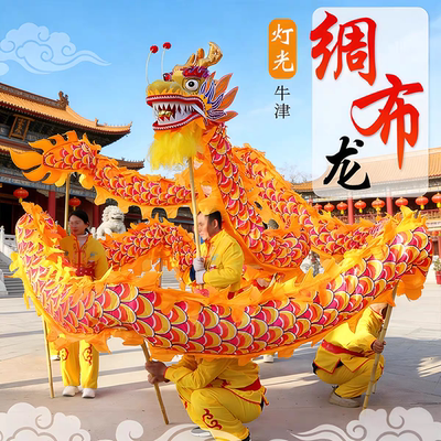 舞龙舞狮道具七彩龙灯烫金龙印花舞龙灯光龙社火道具二月二龙抬头