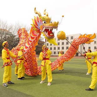 舞龙舞狮道具春节活动表演成人龙灯绸布龙学生运动会舞台用九节龙