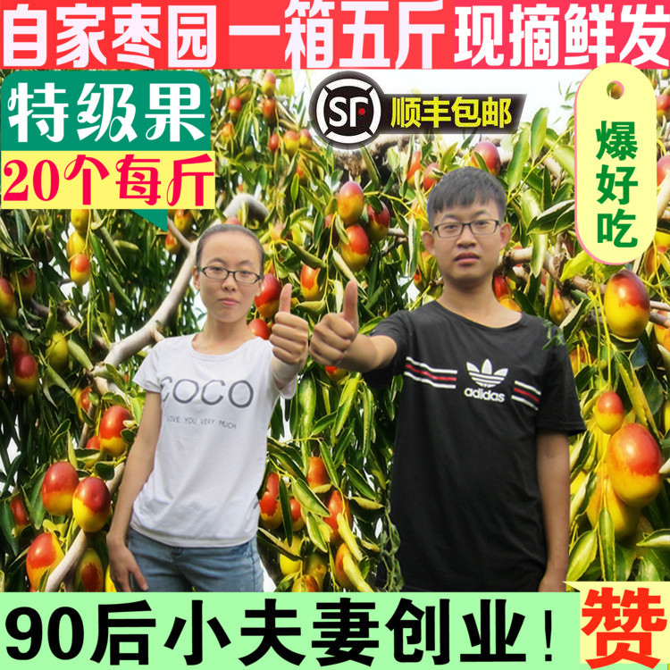 特级山东沾化冬枣5斤脆甜鲜枣特大应季枣子孕妇新鲜水果现摘顺丰