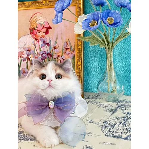 Слюнявчик для принцессы, кружевной шарф, нагрудник, аксессуар