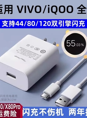 适用vivo120充电器御煌原装vivoX100X90X90proX Fold2/3proy100t闪充iQOO13/12/111/10/快充Neo9/8/22W充电器