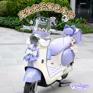 适用雅迪摩登光芒70棣王紫装 饰电动车后备箱防水脚垫手机支架挂包