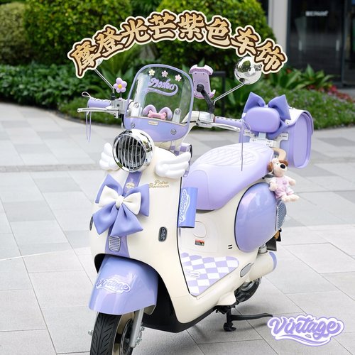 适用雅迪摩登光芒70棣王紫装饰电动车后备箱防水脚垫手机支架挂包