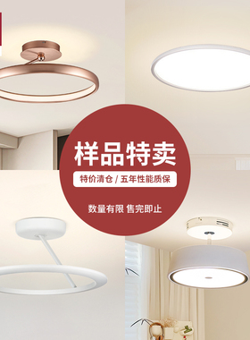 【样品特卖】德国柏曼吸顶灯 客厅卧室书房护眼led灯具 售完即止