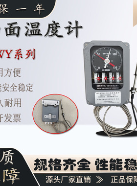 BWY-804AD变压器油面温度控制器温度指示计温控仪BWY-804AJ数显仪