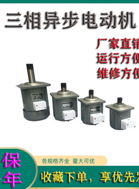 ASF102A 250W YDT250-2液压抱闸电机三相异步电动机全铜线ASF82A