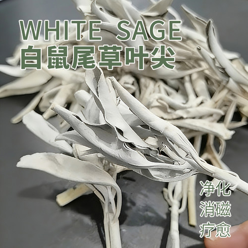 整叶净化白鼠尾草加州消磁香薰