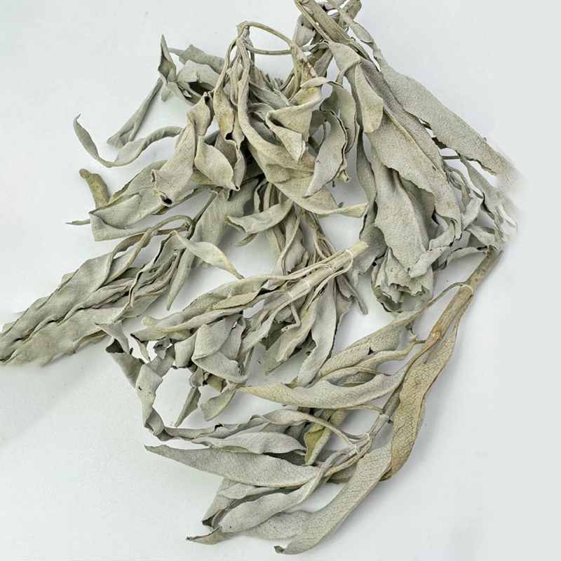 整叶净化白鼠尾草加州消磁香薰