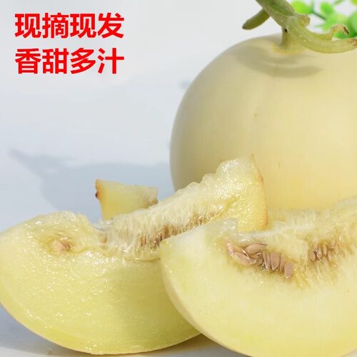 珍妹白皮甜瓜新鲜采摘糯甜多汁