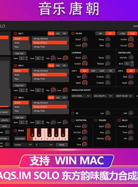 TAQS.IM SOLO 东方韵味魔力合成器音源WIN&MAC