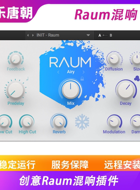 Raum 创意混响插件 WIN&MAC