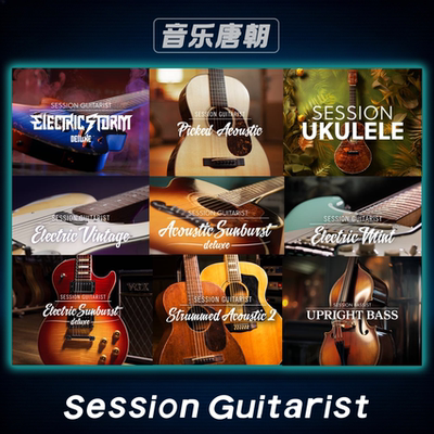 扫弦吉他贝斯全系列音源电吉他