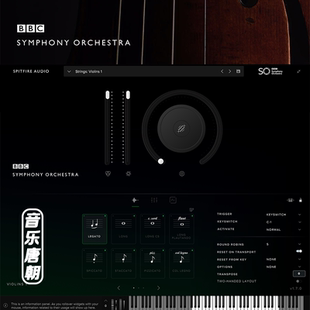 Professional管弦乐独立插件专业版 Orchestra Symphony BBC