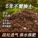 基质土自己家蓝莓配方土杜鹃通用型疏松透气不板结种花种菜营养土