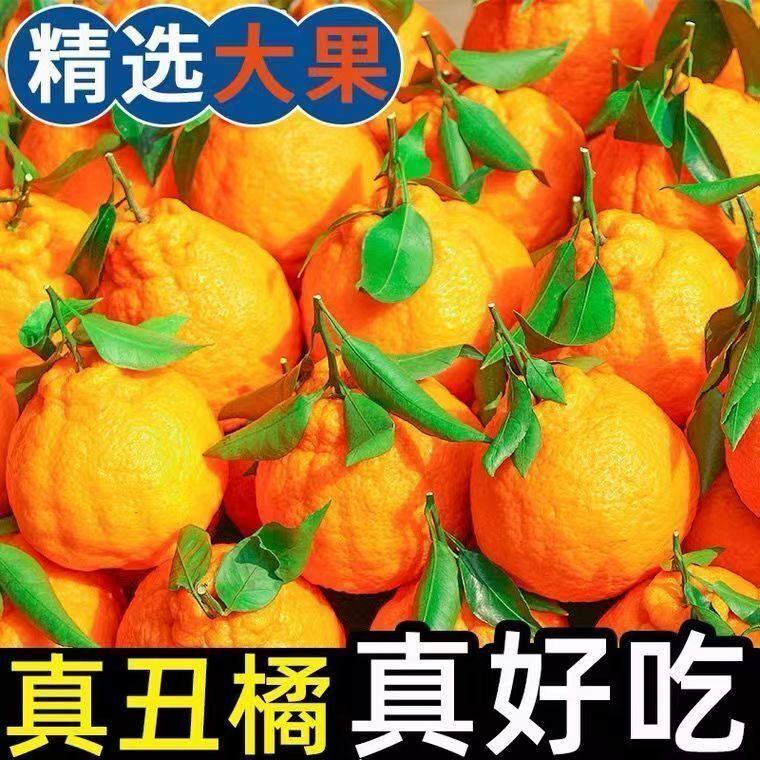 四川丑橘不知火橘子新鲜孕妇水果桔子柑橘丑柑丑桔农家种植丑八怪,水产肉类/新鲜蔬果/熟食,桔子,淘宝优惠券,粉丝福利购,淘宝优惠卷