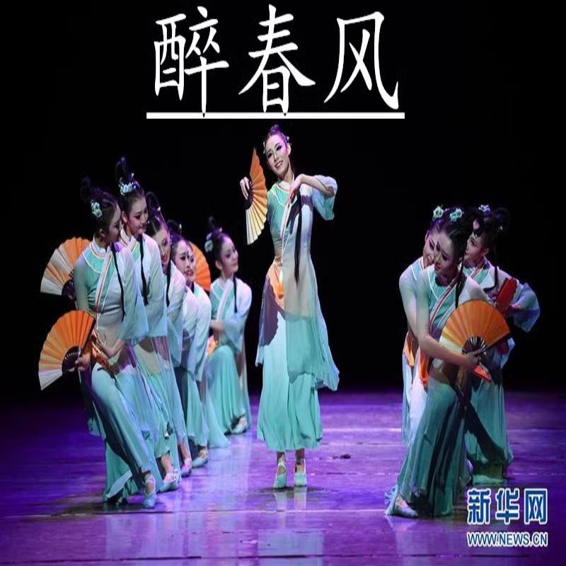 醉春风古典扇子舞演出服|成人