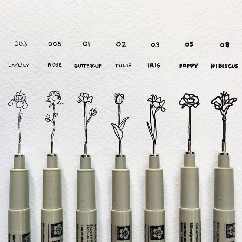 sakura樱花针管笔描线美术绘图图片