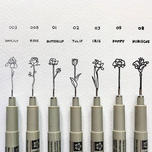 sakura樱花针管笔描线美术绘图