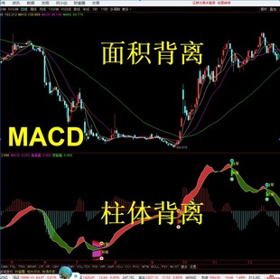 通达信指标源码 可用于可转债 MACD形态面积双背离副图指标