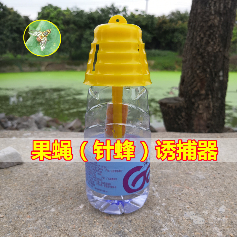 经济便捷果蝇针蜂诱捕器引诱剂