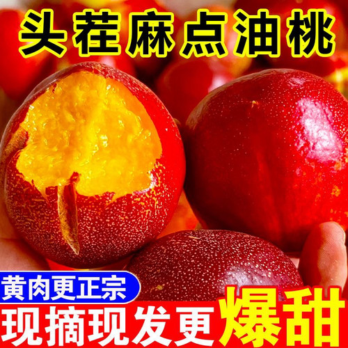 【现货速发】山东油桃黄心大油桃新鲜孕妇水果当季新鲜黄肉油桃子