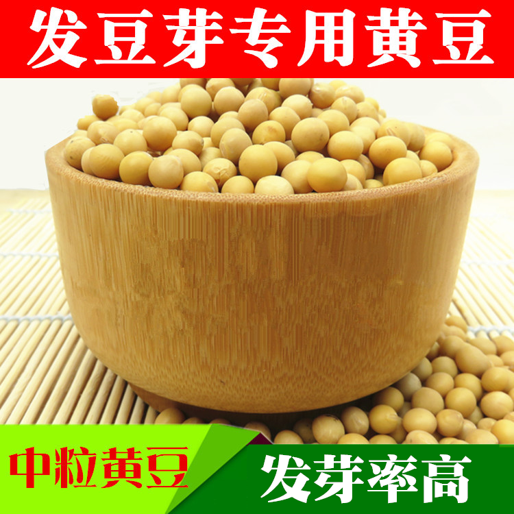 非转基因黄豆发豆芽专用黄豆打豆浆芽豆芽苗菜中小粒做纳豆 5斤装,粮油调味/速食/干货/烘焙,黄豆,淘宝优惠券,粉丝福利购,淘宝优惠卷