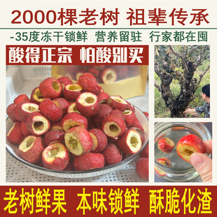 山楂茶老树鲜山楂冻干山楂整颗去核无核山楂干冻干山楂无添加泡水