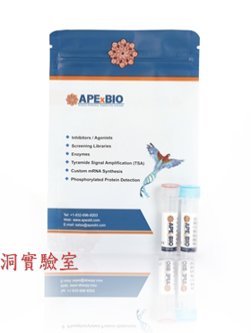APExBIO HyperScript Reverse Transcriptase热稳定逆转录酶K1071