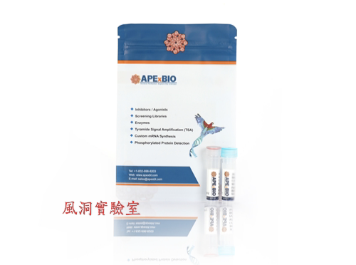APExBIO HyperScript Reverse Transcriptase热稳定逆转录酶K1071