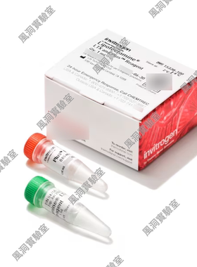 Invitrogen赛默飞Lipofectamine LTX试剂及PLUS试剂,质粒转染试剂