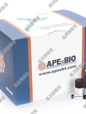 Cell Counting Kit-8 (CCK-8)用于细胞增殖和细胞毒性试验10000T