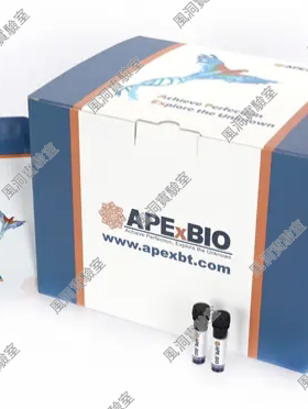 DAPI Solution (10 μg/mL, ready to use) 即用型DAPI染色液