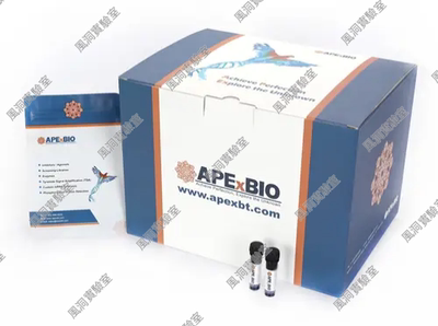 DAPI Solution (10 μg/mL, ready to use) 即用型DAPI染色液