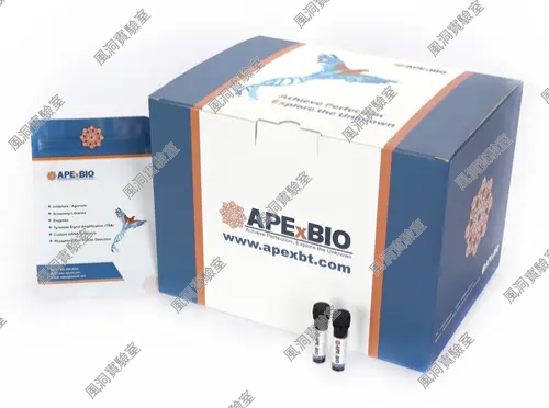 DAPI Solution (10 μg/mL, ready to use) 即用型DAPI染色液