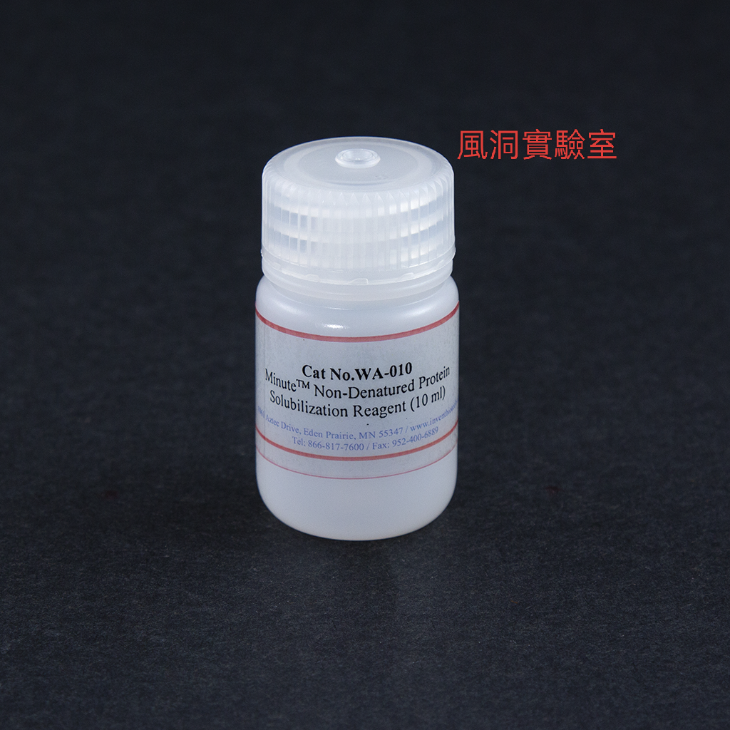 Minute™ 非变性蛋白溶解液 WA-010 用于溶解提取的不可溶性蛋白