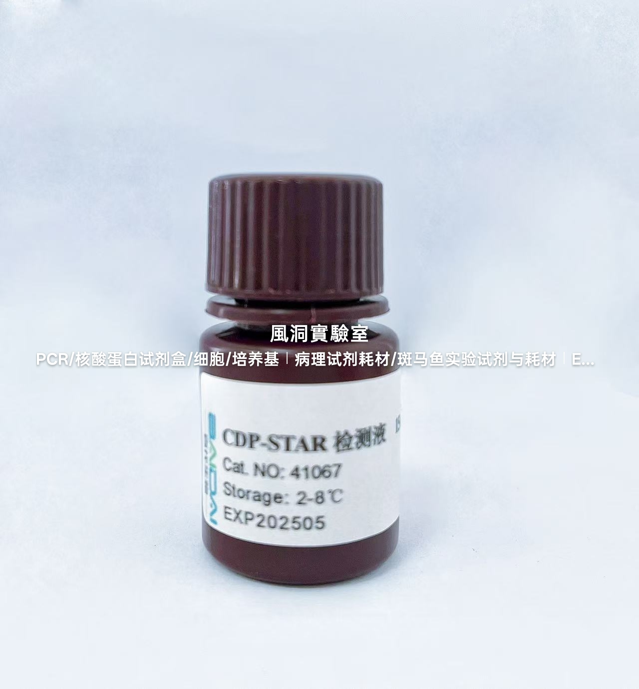 BIOG CDP-STAR ALP固相检测试剂盒,用于WB印迹/菌落杂交/斑点杂交