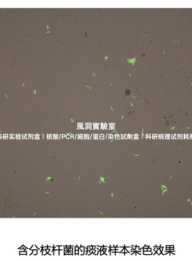AIE抗酸染色液(AIE荧光染色法)适用痰液样本快速分辨检测分枝杆菌