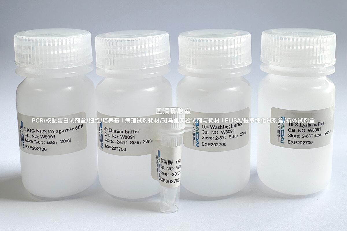BIOG His标签蛋白纯化试剂盒,用于纯化可溶性His标签蛋白的试剂盒